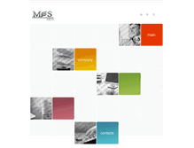 Tablet Screenshot of mes.ae